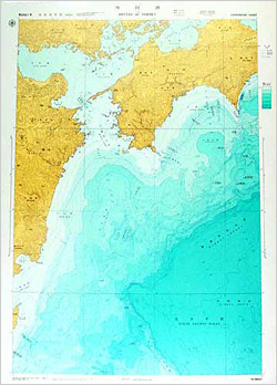四国沖(海底地形図)